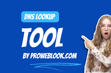 dns lookup tool