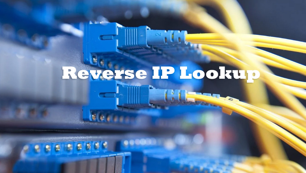 Reverse IP Lookup