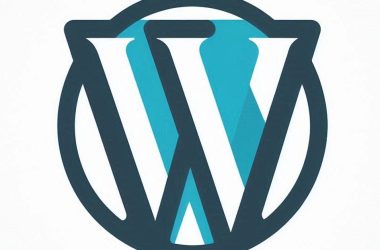 Phone Number Validator Plugin for WordPress