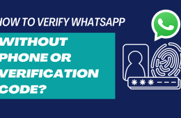 how to verify a whatsapp number online